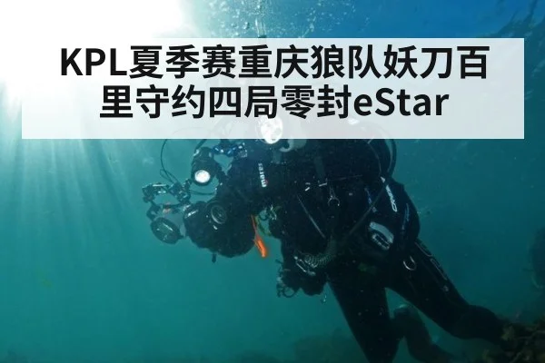 KPL夏季赛重庆狼队妖刀百里守约四局零封eStar
