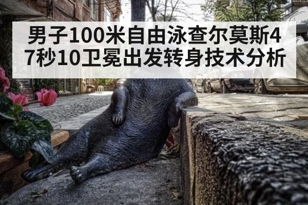 男子100米自由泳查尔莫斯47秒10卫冕出发转身技术分析